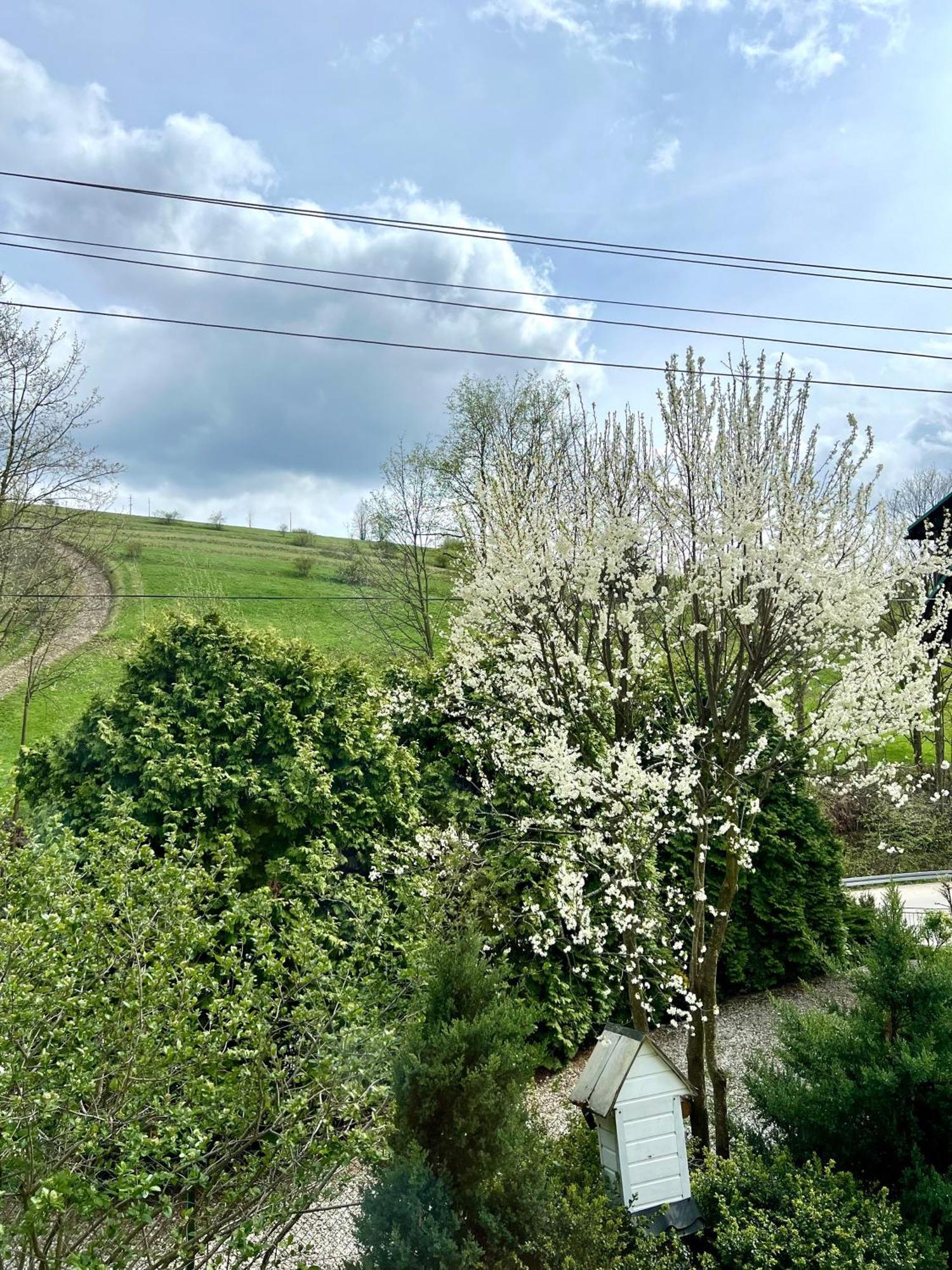 Agrodomek Rzepiska Esterno foto