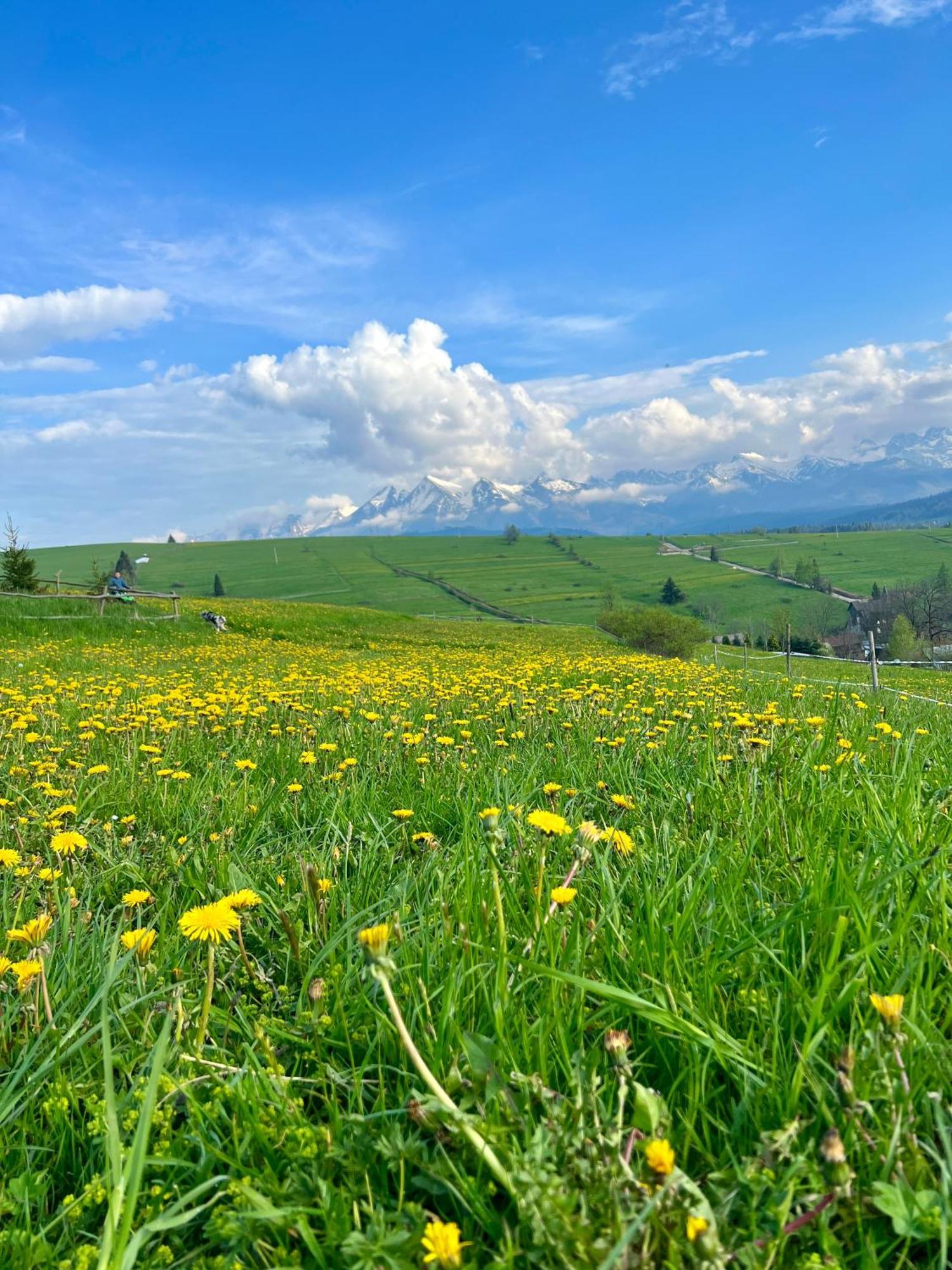 Agrodomek Rzepiska Esterno foto